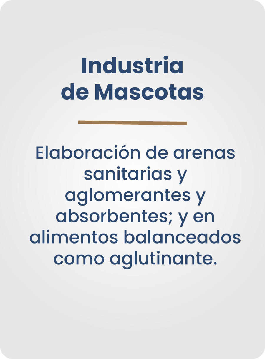 MASCOTAS-2